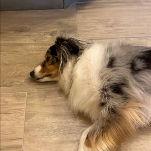 Meet your Posher, Quyet